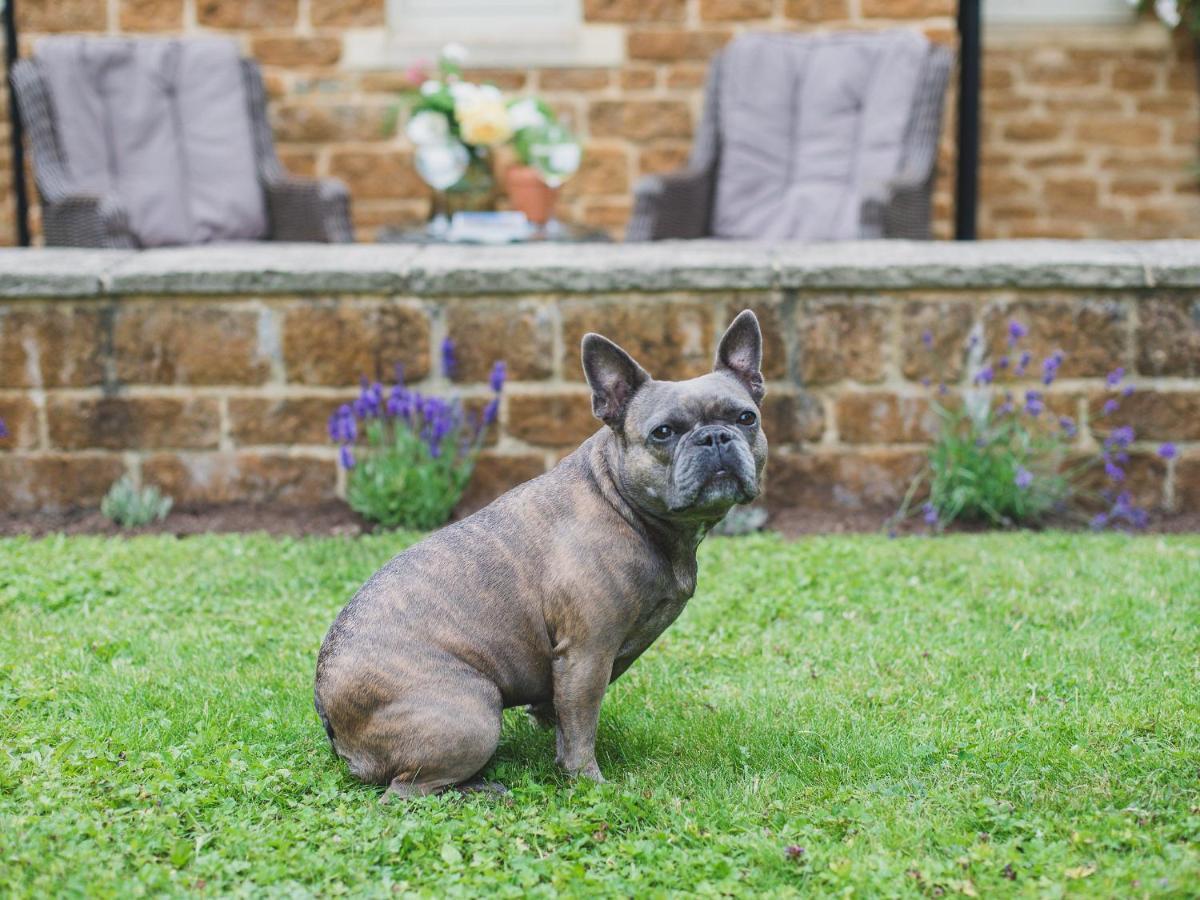 Climbing Rose Cottage - Dog Friendly - Peaceful Cotswold Cottage Adlestrop Exterior photo